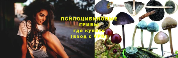 гашик Гусь-Хрустальный