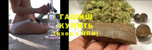 гашик Гусь-Хрустальный