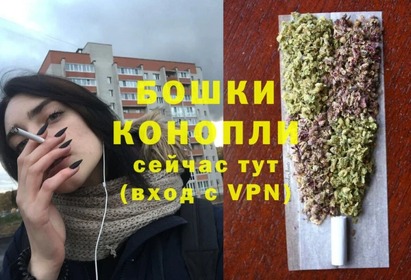 гашик Гусь-Хрустальный
