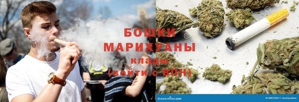 гашик Гусь-Хрустальный