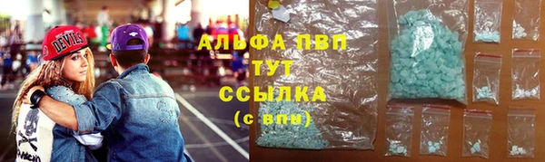 гашик Гусь-Хрустальный